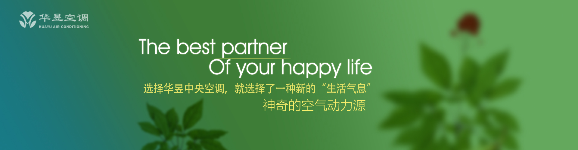一苇可航网